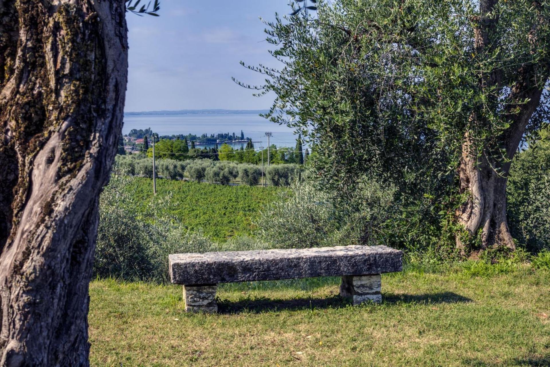 Appartamenti Ca' Mure باردولينو المظهر الخارجي الصورة